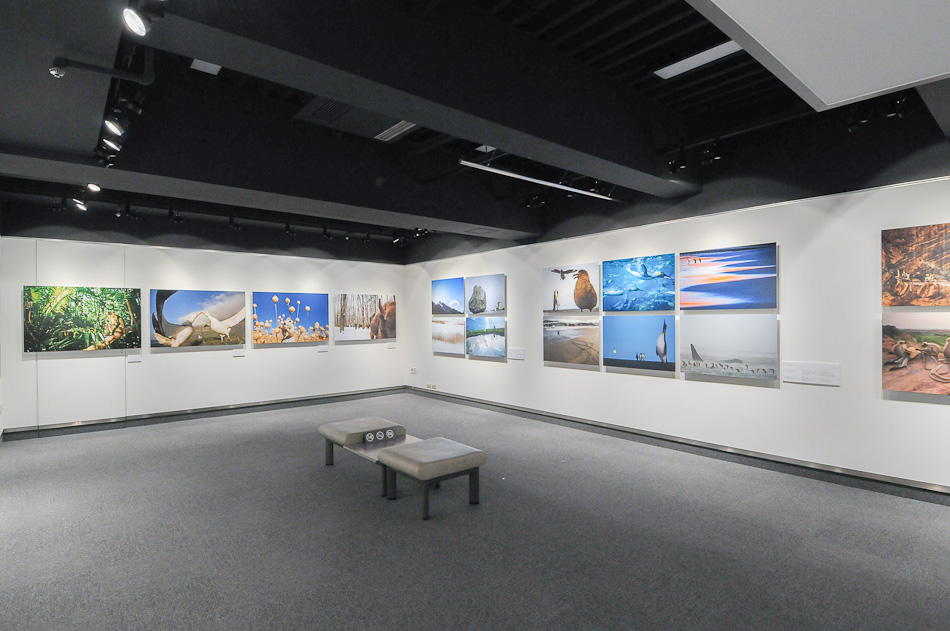 "Living with nature", Konica-Minolta gallery (Tokyo)