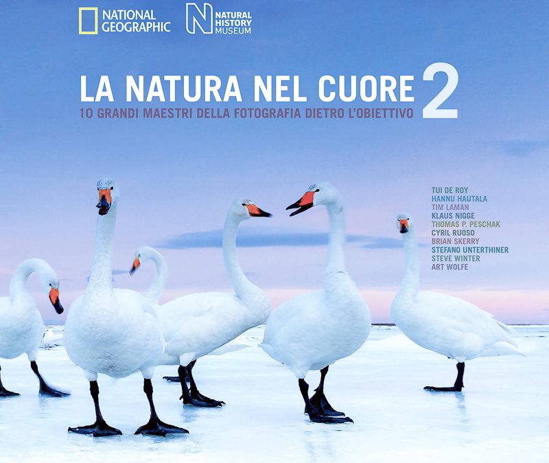 La natura nel cuore 2