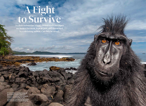 Nuova storia sul National Geographic Magazine!